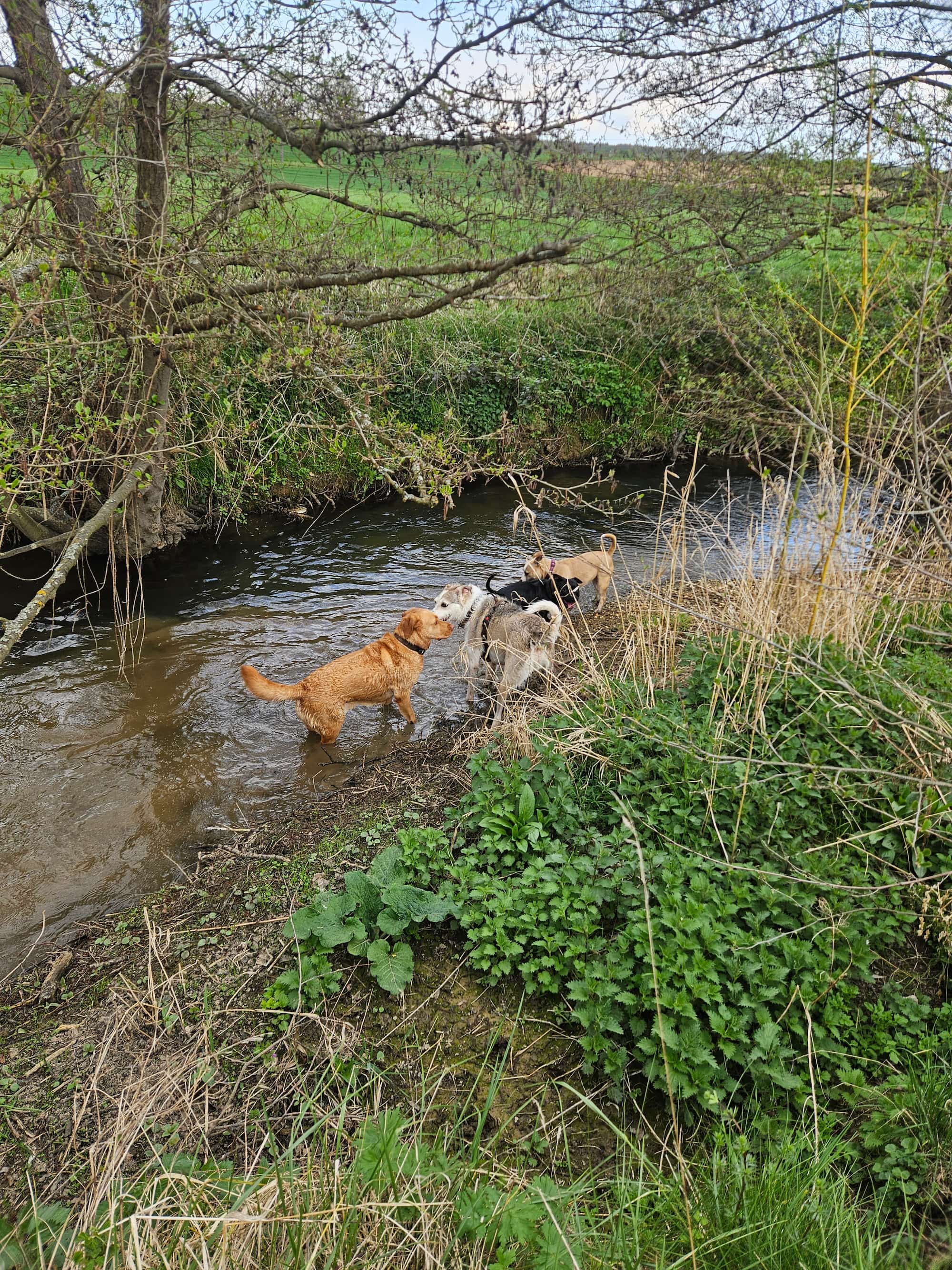 Tierfoto